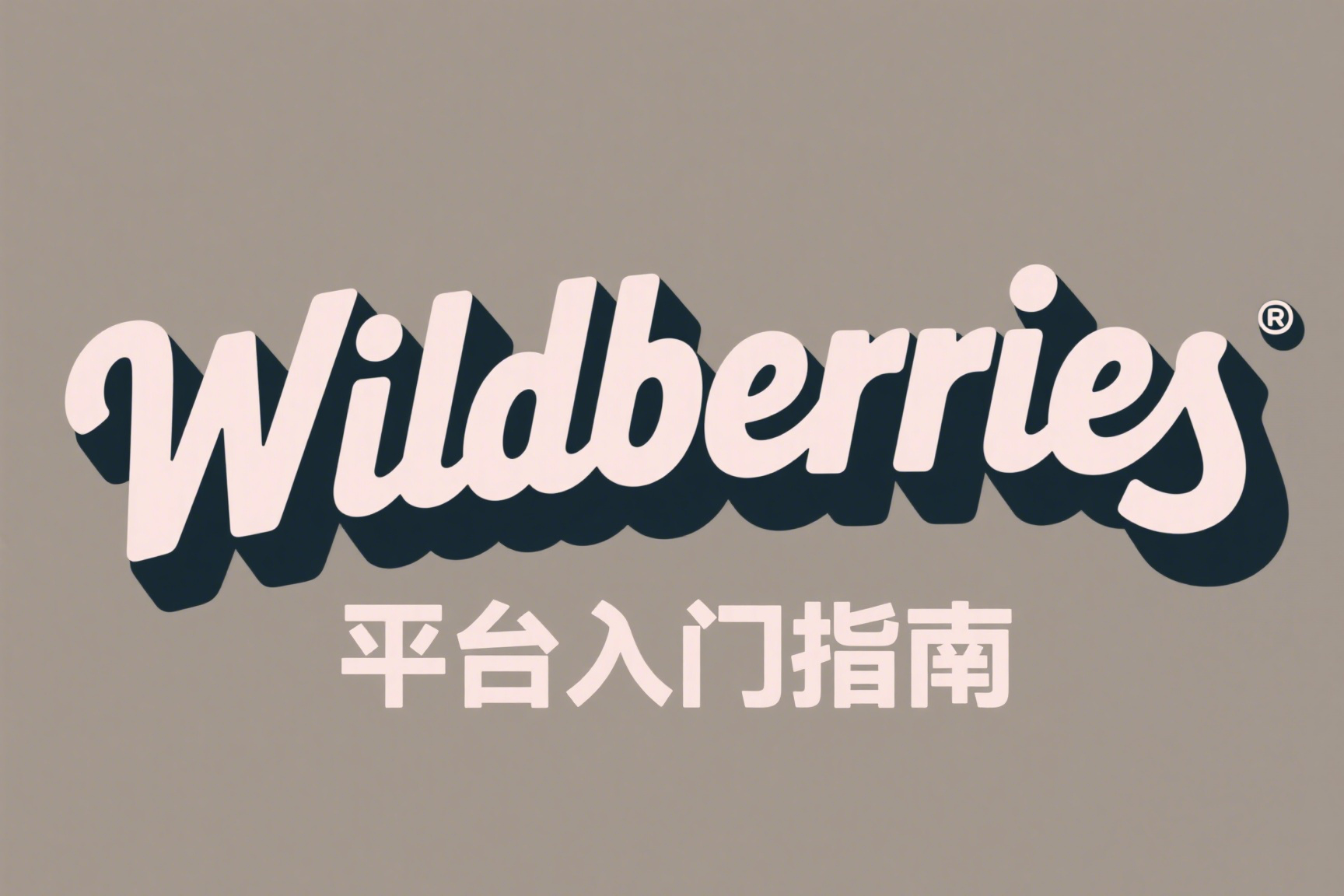 Wildberries 平台入门指南